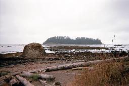 Ozette